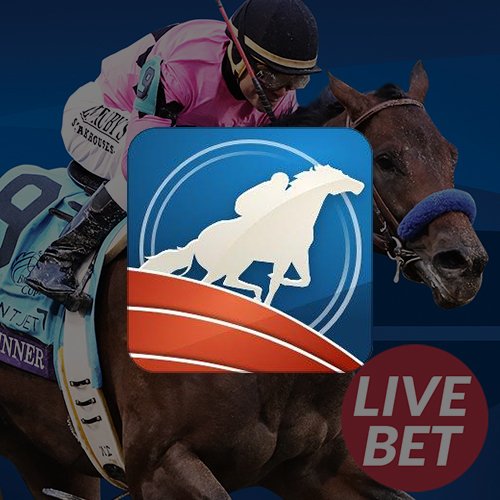 horse live bet